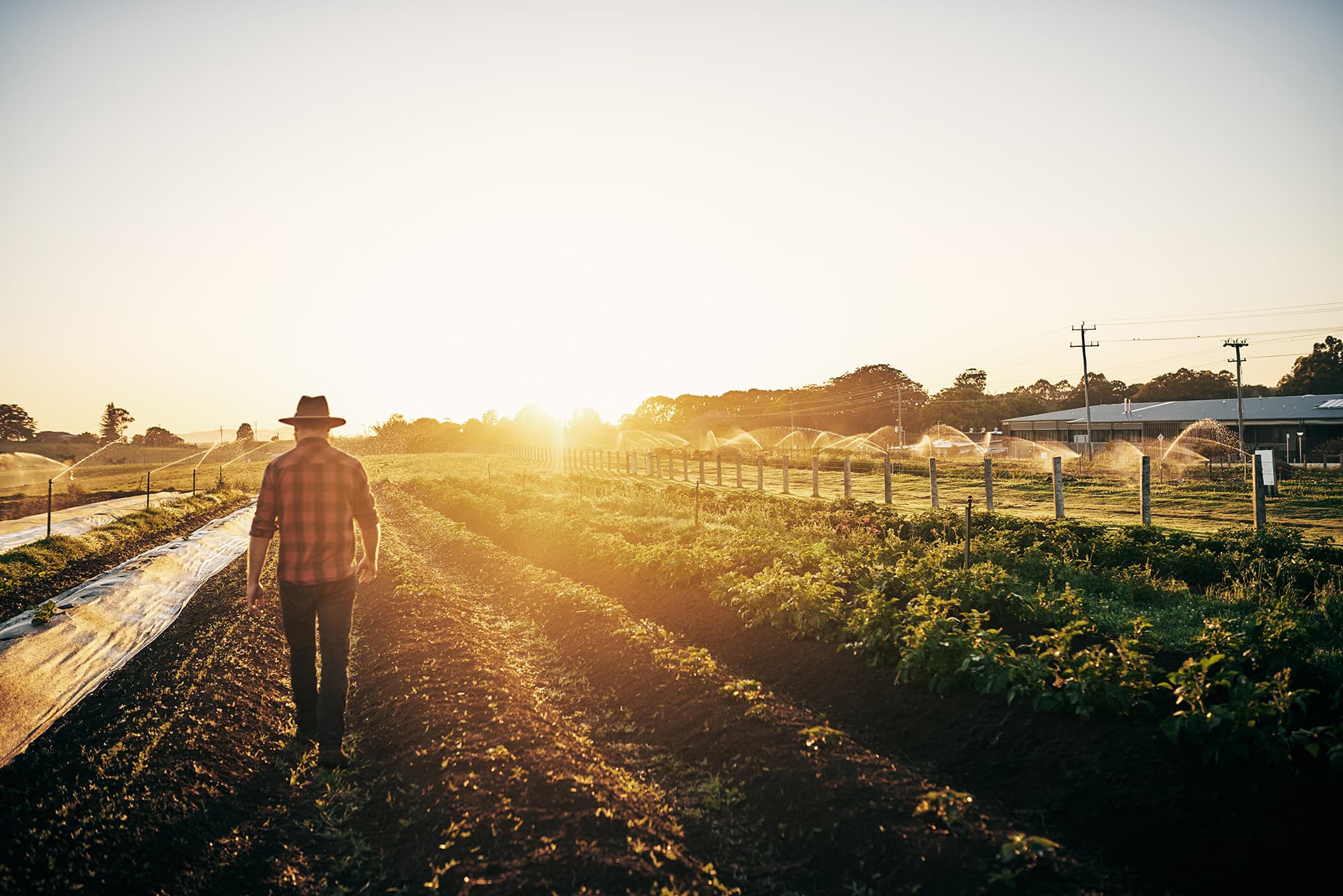 farm insurance photo